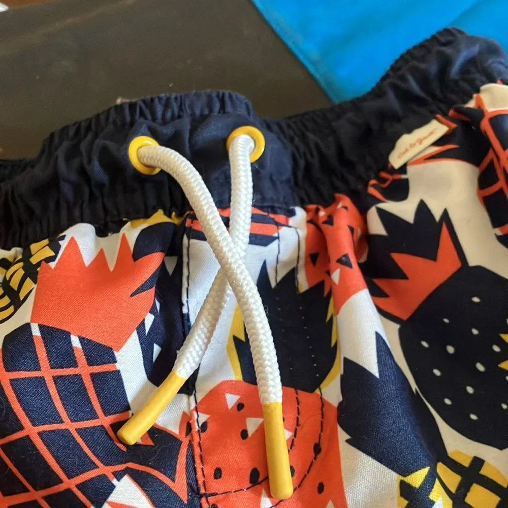 Colorful Pineapple Print Swim Shorts 2t